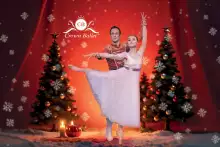 DER NUSSKNACKER DER NUSSKNACKER